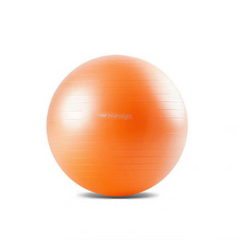 Bola de Exercícios Laranja 55 cm