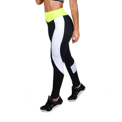 Calça legging  Everlast  - Verde / Preto / Branco - Feminino